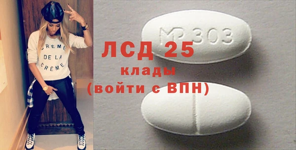 ПСИЛОЦИБИНОВЫЕ ГРИБЫ Горняк