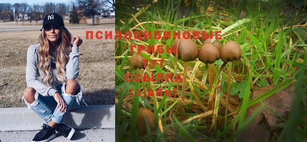 бутират Горнозаводск