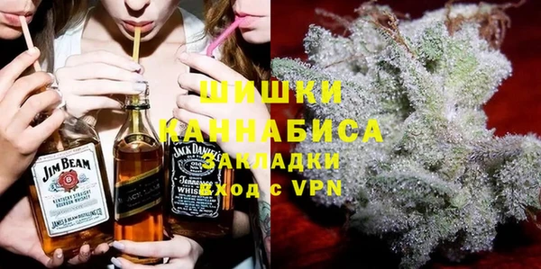 ПСИЛОЦИБИНОВЫЕ ГРИБЫ Горняк