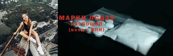 ПСИЛОЦИБИНОВЫЕ ГРИБЫ Горняк