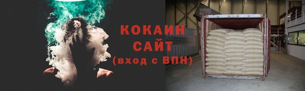 ПСИЛОЦИБИНОВЫЕ ГРИБЫ Горняк