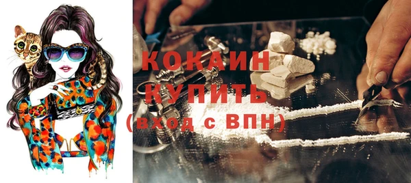 ПСИЛОЦИБИНОВЫЕ ГРИБЫ Горняк