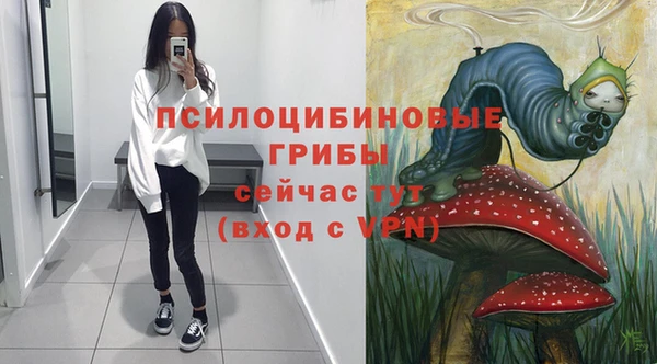 бошки Горно-Алтайск