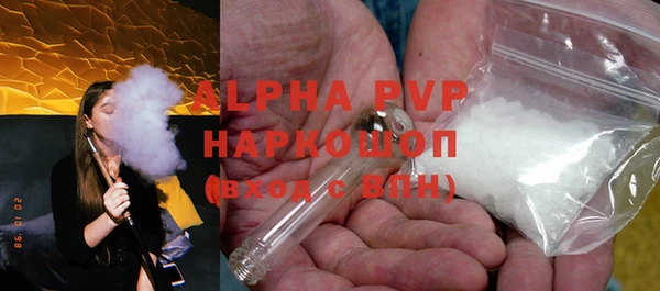 ПСИЛОЦИБИНОВЫЕ ГРИБЫ Горняк