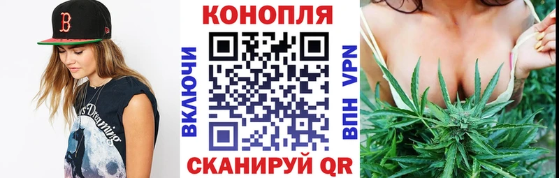 Купить где Покачи Марихуана план